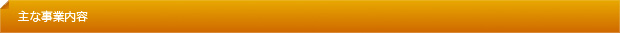 主な事業内容